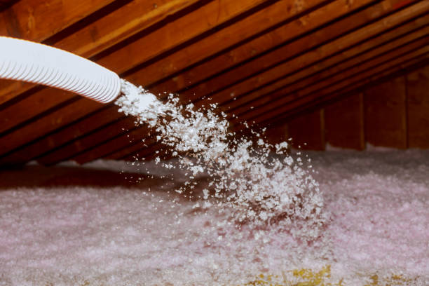 Best Specialized Insulation Services in Mec, CA
