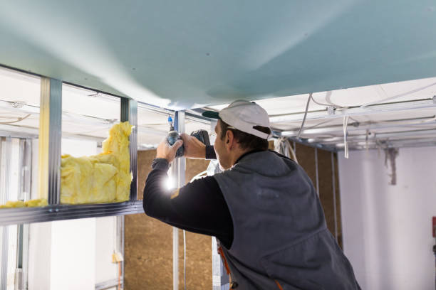 Best Spray Foam Insulation in Mec, CA