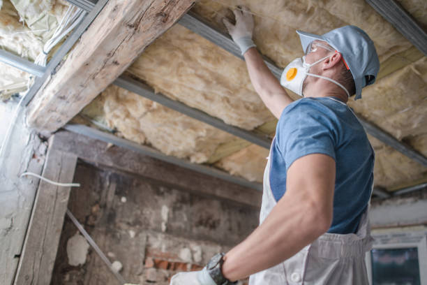 Best Blown-in Insulation in Mec, CA